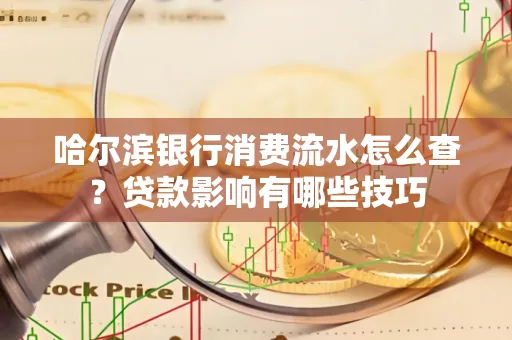 哈尔滨银行消费流水怎么查?贷款影响有哪些技巧